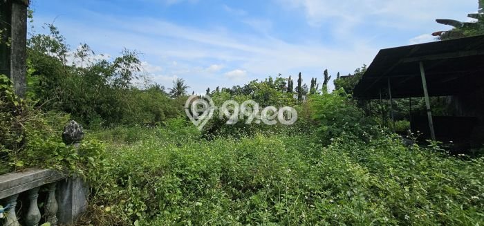 Kavling Tanah Dijual di Ungaran Barat Semarang Spesifikasi 1510m2 Kavling Tanah Dijual di Ungaran Barat Semarang Spesifikasi 1510m2