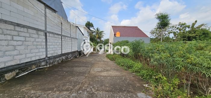 Lahan untuk Dijual di Mijen Semarang Luas 9500m2 Lahan untuk Dijual di Mijen Semarang Luas 9500m2