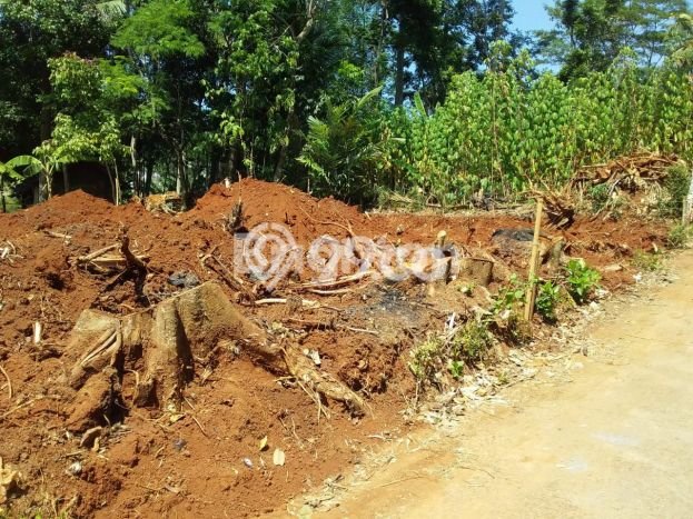 Lahan Dijual Lokasi Ungaran Timur, Semarang dengan Luas Tanah 74m2 dan Status SHM Lahan Dijual Lokasi Ungaran Timur, Semarang dengan Luas Tanah 74m2 dan Status SHM