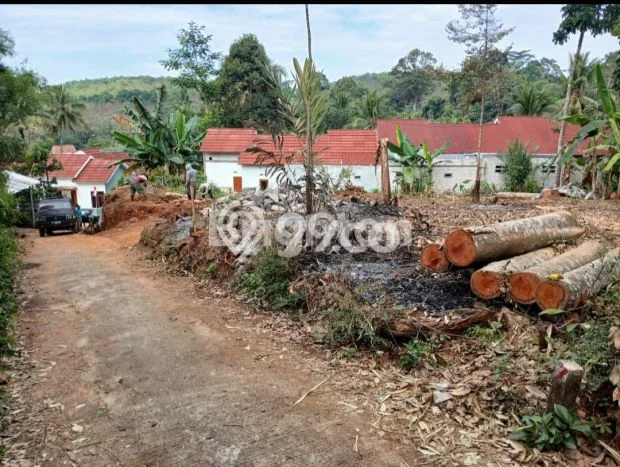 Lahan Dijual Lokasi Ungaran Timur, Semarang dengan Luas Tanah 74m2 dan Status SHM Lahan Dijual Lokasi Ungaran Timur, Semarang dengan Luas Tanah 74m2 dan Status SHM