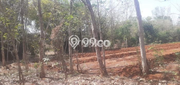 For Sale Tanah di Karang Anyar, Luas 7710m2m², Area Berkembang For Sale Tanah di Karang Anyar, Luas 7710m2m², Area Berkembang