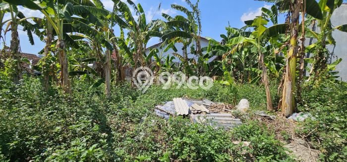 Tanah Lokasi Strategis di Ngaliyan, Luas 302m2m², Dekat ke Fasilitas Tanah Lokasi Strategis di Ngaliyan, Luas 302m2m², Dekat ke Fasilitas