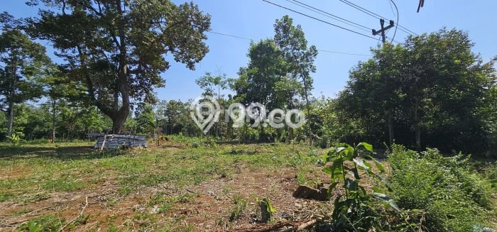 Jual Tanah Lokasi Strategis Kawasan Gunung Pati, Luas 3784m2m², Akses Gunung Pati, Semarang, Semarang Jual Tanah Lokasi Strategis Kawasan Gunung Pati, Luas 3784m2m², Akses Gunung Pati, Semarang, Semarang