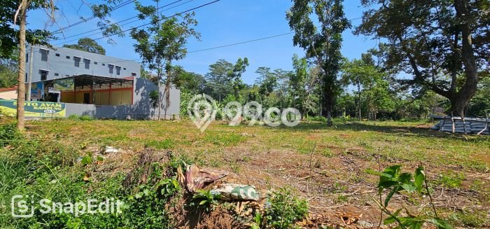 Jual Tanah Lokasi Strategis Kawasan Gunung Pati, Luas 3784m2m², Akses Gunung Pati, Semarang, Semarang Jual Tanah Lokasi Strategis Kawasan Gunung Pati, Luas 3784m2m², Akses Gunung Pati, Semarang, Semarang