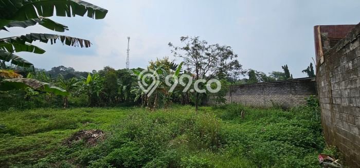 Jarang Ada! Tanah di Ungaran Barat Punya Luas 350m2 SHM Jarang Ada! Tanah di Ungaran Barat Punya Luas 350m2 SHM
