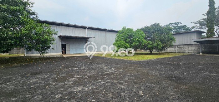 Disewakan Gudang Bisnis di Mijen Semarang Harga Sewa Menarik Bisa Nego Disewakan Gudang Bisnis di Mijen Semarang Harga Sewa Menarik Bisa Nego