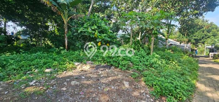 Tanah di Ungaran Timur, Semarang Luas 1737m2 Dijual Segera Tanah di Ungaran Timur, Semarang Luas 1737m2 Dijual Segera