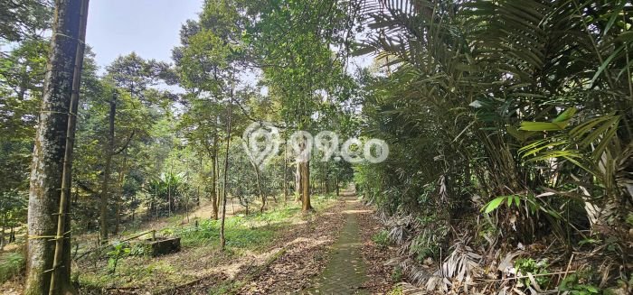 Lahan Investasi Lokasi Gunung Pati Semarang SHM Lahan Investasi Lokasi Gunung Pati Semarang SHM