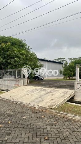 Disewakan Gudang Bisnis di Mijen Semarang Harga Sewa Menarik Bisa Nego Disewakan Gudang Bisnis di Mijen Semarang Harga Sewa Menarik Bisa Nego