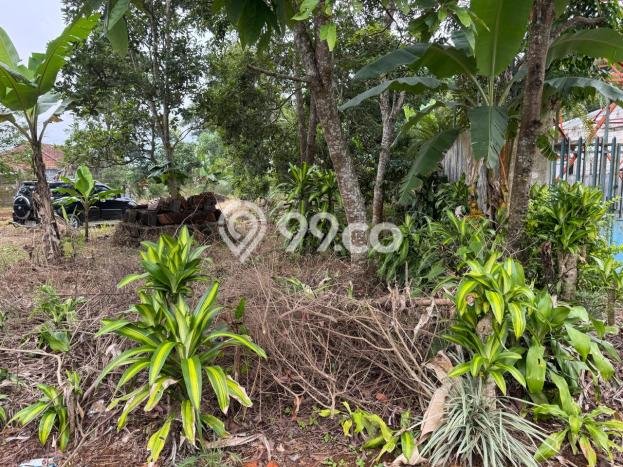 Tanah Komersial Dijual di Bandungan Semarang 868m2 Tanah Komersial Dijual di Bandungan Semarang 868m2