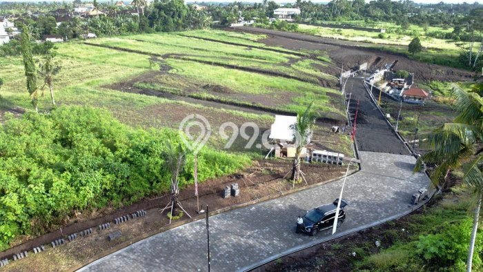 Tanah Dijual Area Strategis di Gubug Tabanan 200m2 Tanah Dijual Area Strategis di Gubug Tabanan 200m2