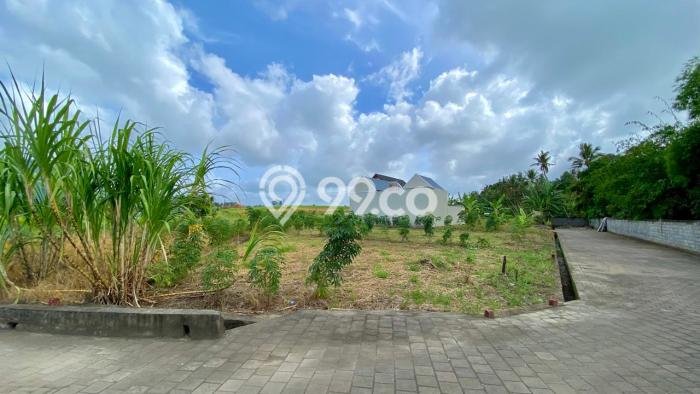 Lahan Dijual Lokasi Tabanan, Tabanan dengan Luas Tanah 100m2 dan Status SHM Lahan Dijual Lokasi Tabanan, Tabanan dengan Luas Tanah 100m2 dan Status SHM