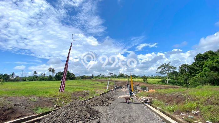 Tanah Dijual Area Strategis di Gubug Tabanan 200m2 Tanah Dijual Area Strategis di Gubug Tabanan 200m2