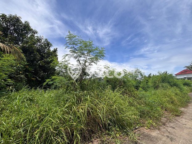 Tanah Siap Bangun Dijual di Gianyar Punya Luas 1200m2 Tanah Siap Bangun Dijual di Gianyar Punya Luas 1200m2