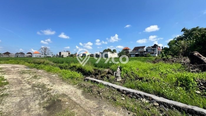 Hunian Nyaman Asri 3 KT Siap Pakai di Sading Badung Hunian Nyaman Asri 3 KT Siap Pakai di Sading Badung
