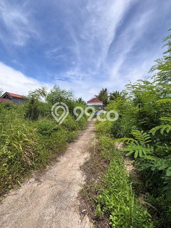 Tanah Siap Bangun Dijual di Gianyar Punya Luas 1200m2 Tanah Siap Bangun Dijual di Gianyar Punya Luas 1200m2