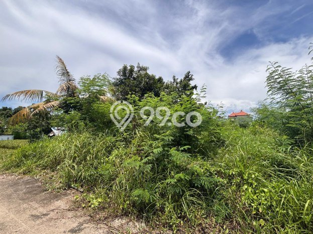Tanah Siap Bangun Dijual di Gianyar Punya Luas 1200m2 Tanah Siap Bangun Dijual di Gianyar Punya Luas 1200m2