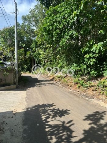 Tanah Dijual Area Strategis di Uluwatu Badung 1980m2 Tanah Dijual Area Strategis di Uluwatu Badung 1980m2