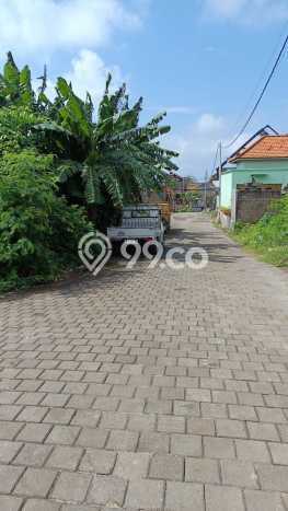 Tanah Kavling untuk Disewa di Ungasan Badung 300m2 Tanah Kavling untuk Disewa di Ungasan Badung 300m2
