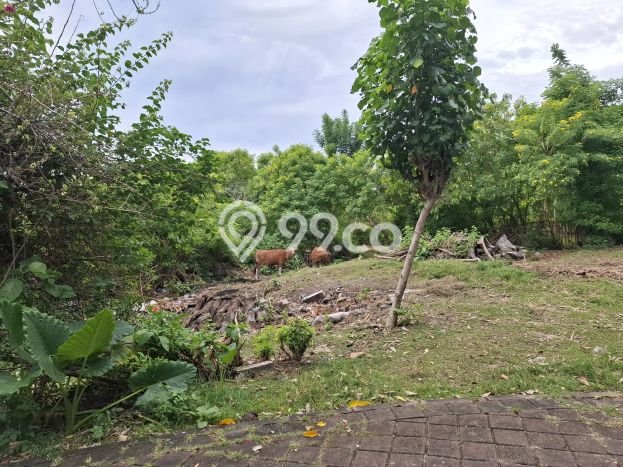 Kavling Tanah untuk Dijual di Jimbaran, Badung, Luas 6039m2 Kavling Tanah untuk Dijual di Jimbaran, Badung, Luas 6039m2