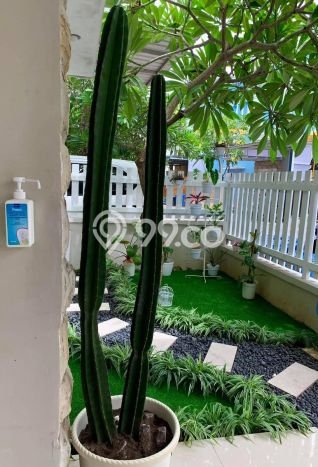 Hunian Elit LB 178m2 Siap Huni Desain Elegan di Mahendradata, Denpasar Hunian Elit LB 178m2 Siap Huni Desain Elegan di Mahendradata, Denpasar