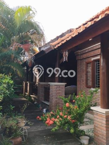 Rumah Luas Asri 3 KT Siap Huni di Sesetan Denpasar Rumah Luas Asri 3 KT Siap Huni di Sesetan Denpasar