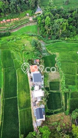 Vila Kawasan Gianyar, Area 248m2m², Ideal untuk beragam keperluan Vila Kawasan Gianyar, Area 248m2m², Ideal untuk beragam keperluan