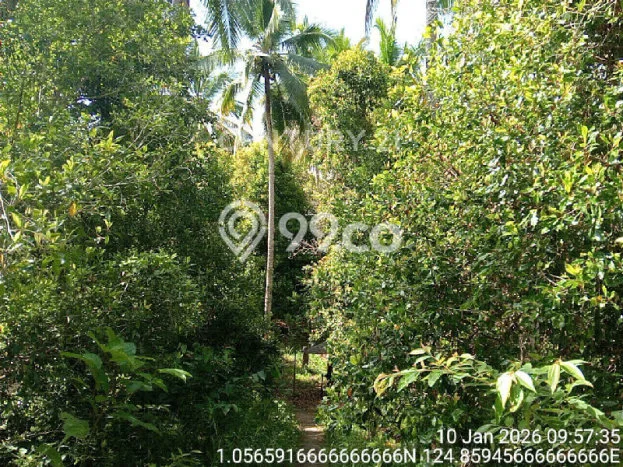 Tanah Strategis Dijual di Ratahan Minahasa Tenggara 220000m2 Tanah Strategis Dijual di Ratahan Minahasa Tenggara 220000m2