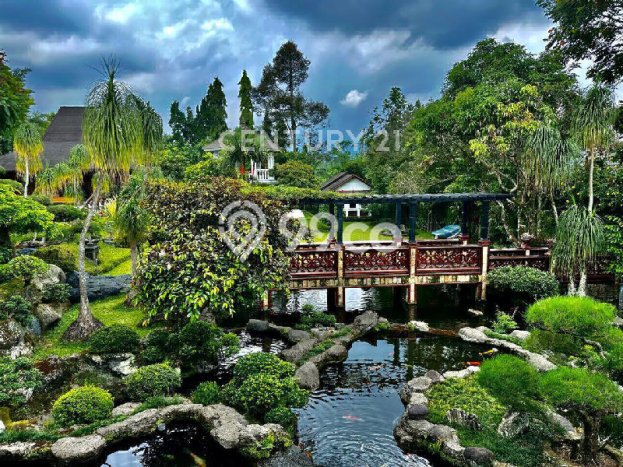 Vila Strategis di Megamendung, Ukuran 3660m2m², Akses ke beragam fasilitas Vila Strategis di Megamendung, Ukuran 3660m2m², Akses ke beragam fasilitas