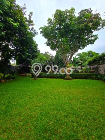 Sewa Rumah Harga Terjangkau di Pejaten Jakarta Selatan dengan 5 KT Sewa Rumah Harga Terjangkau di Pejaten Jakarta Selatan dengan 5 KT