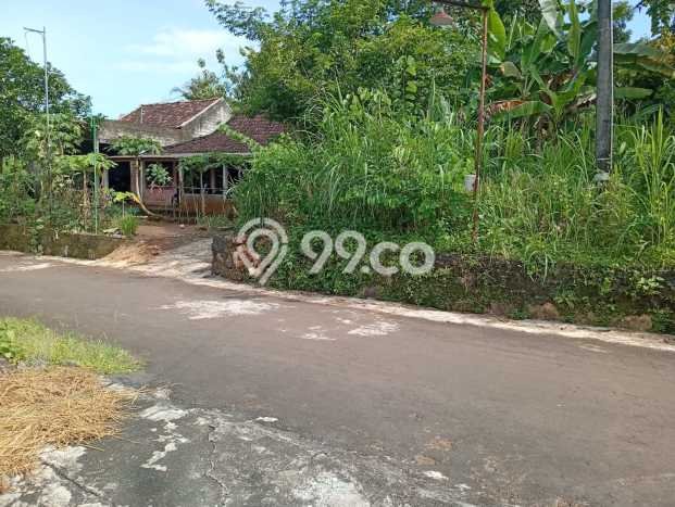 Tanah Strategis Dijual di Wonosari Gunung Kidul 1546m2 Tanah Strategis Dijual di Wonosari Gunung Kidul 1546m2
