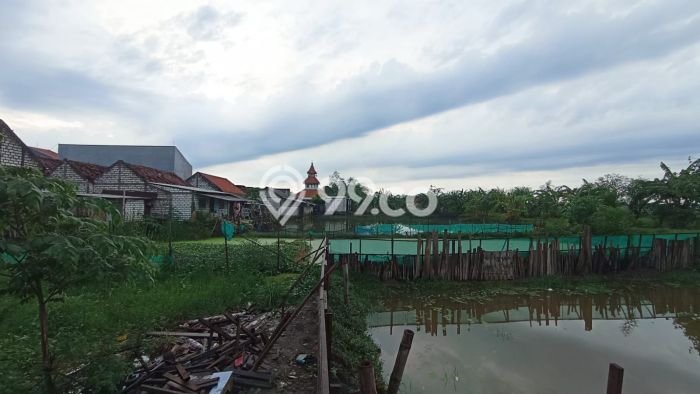 Lahan untuk Dijual Lokasi Cerme, Gresik Luas 496m2 SHM Lahan untuk Dijual Lokasi Cerme, Gresik Luas 496m2 SHM