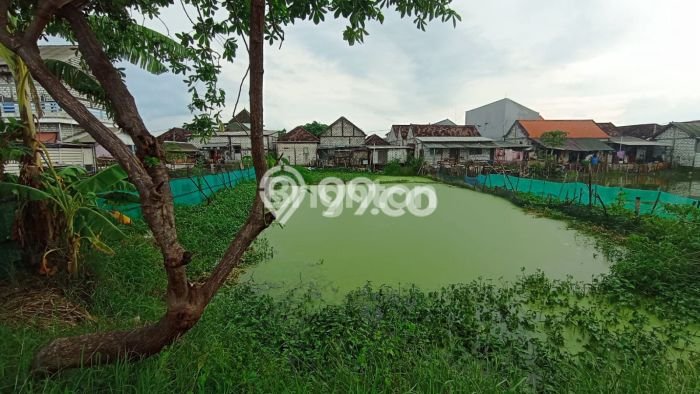 Lahan untuk Dijual Lokasi Cerme, Gresik Luas 496m2 SHM Lahan untuk Dijual Lokasi Cerme, Gresik Luas 496m2 SHM