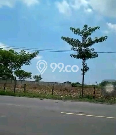 Tanah di Widang, Tuban Luas 40000m2 Dijual Segera Tanah di Widang, Tuban Luas 40000m2 Dijual Segera