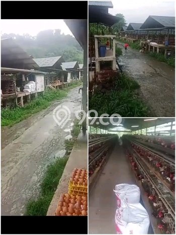 Tanah di Rumpin, Bogor Luas 110000m2 Dijual Segera Tanah di Rumpin, Bogor Luas 110000m2 Dijual Segera