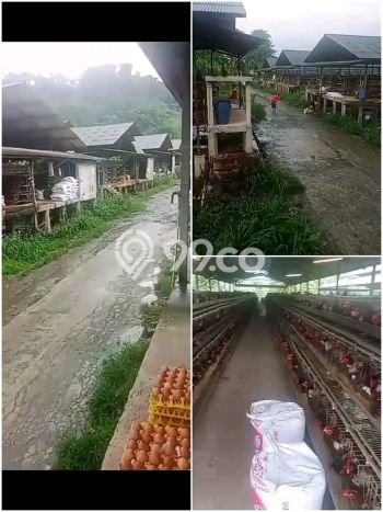 Tanah di Rumpin, Bogor Luas 110000m2 Dijual Segera Tanah di Rumpin, Bogor Luas 110000m2 Dijual Segera