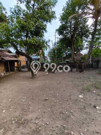 Tanah di Sleman, Sleman Luas 100m2 Dijual Segera Tanah di Sleman, Sleman Luas 100m2 Dijual Segera