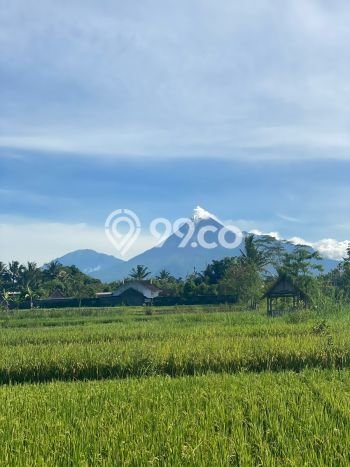 Tanah Area Berkembang Kawasan Kaliurang, Luas 121m2m², Kawasan Nyaman, Dekat Kaliurang, Sleman, Sleman Tanah Area Berkembang Kawasan Kaliurang, Luas 121m2m², Kawasan Nyaman, Dekat Kaliurang, Sleman, Sleman