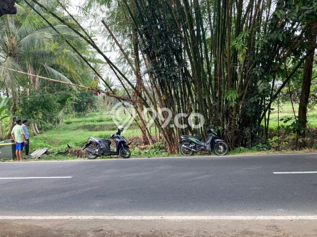 Tanah Area Berkembang di , Luas 286m2m², Lingkungan Asri, Dekat Sleman, Sleman Tanah Area Berkembang di , Luas 286m2m², Lingkungan Asri, Dekat Sleman, Sleman