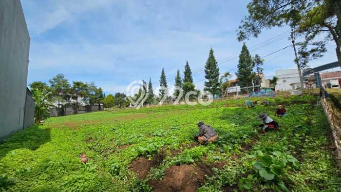 Tanah Kawasan Cihanjuang, Luas 145m2m², Area Strategis, Kawasan Asri Tanah Kawasan Cihanjuang, Luas 145m2m², Area Strategis, Kawasan Asri
