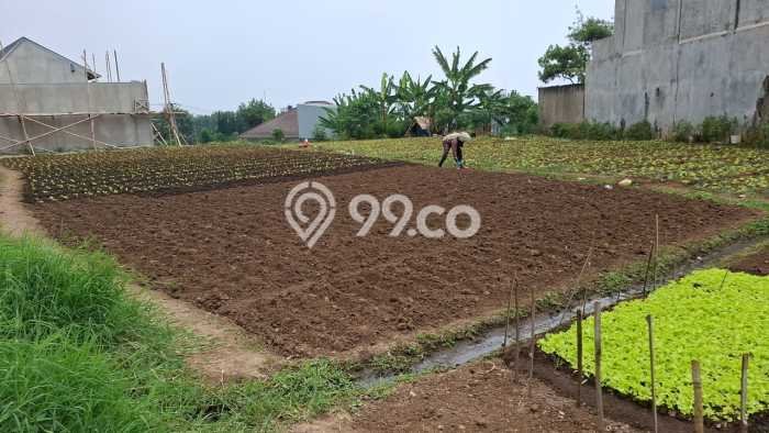 Tanah Komersial Kawasan Setiabudi, Luas 915m2m², Pinggir Jalan Tanah Komersial Kawasan Setiabudi, Luas 915m2m², Pinggir Jalan