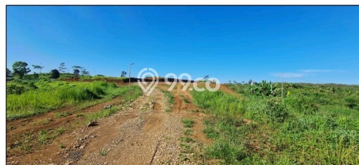 Lahan Investasi Lokasi Cianjur Cianjur SHM Lahan Investasi Lokasi Cianjur Cianjur SHM