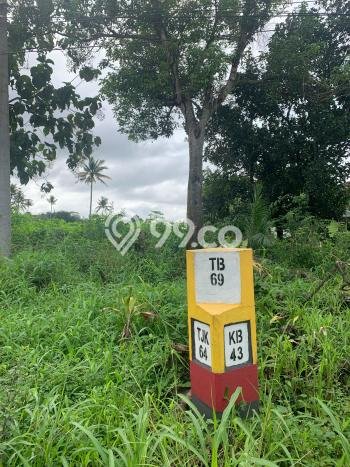 Kavling Tanah Dijual di Terbanggi Besar Lampung Tengah Spesifikasi 20000m2 Kavling Tanah Dijual di Terbanggi Besar Lampung Tengah Spesifikasi 20000m2
