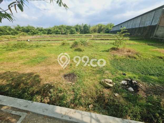 Tanah Dijual Lokasi Sumber, Cirebon Luas 3810m2 Legalitas Aman Tanah Dijual Lokasi Sumber, Cirebon Luas 3810m2 Legalitas Aman