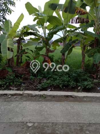 Tanah Strategis Dijual di Kasihan Bantul 876m2 Tanah Strategis Dijual di Kasihan Bantul 876m2