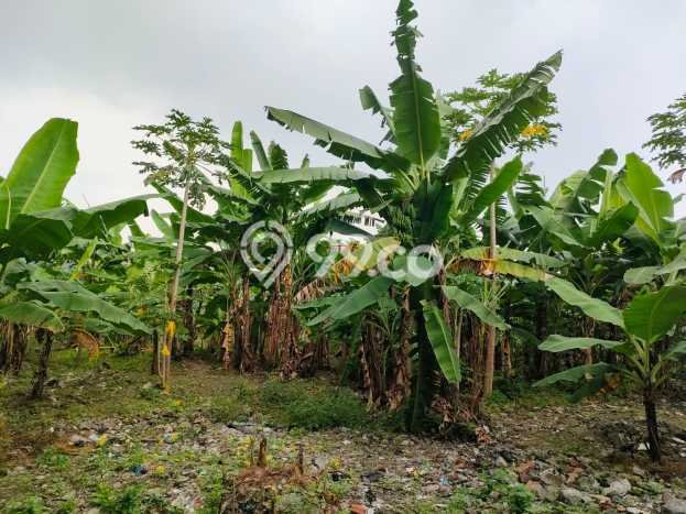 Dijual Tanah Lokasi Asia Afrika, Bandung Seluas 10000m2 Dijual Tanah Lokasi Asia Afrika, Bandung Seluas 10000m2