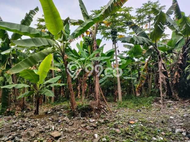 Dijual Tanah Lokasi Asia Afrika, Bandung Seluas 10000m2 Dijual Tanah Lokasi Asia Afrika, Bandung Seluas 10000m2