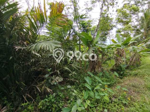 Tanah Dijual Lokasi Tempel Sleman - Tanah Dijual Lokasi Tempel Sleman -