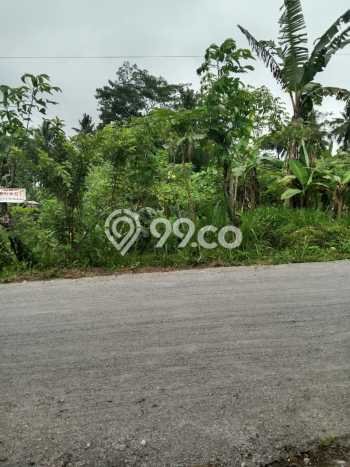 Tanah Dijual Lokasi Turi, Sleman dengan Luas Tanah 1010m2 dan Status SHM Tanah Dijual Lokasi Turi, Sleman dengan Luas Tanah 1010m2 dan Status SHM