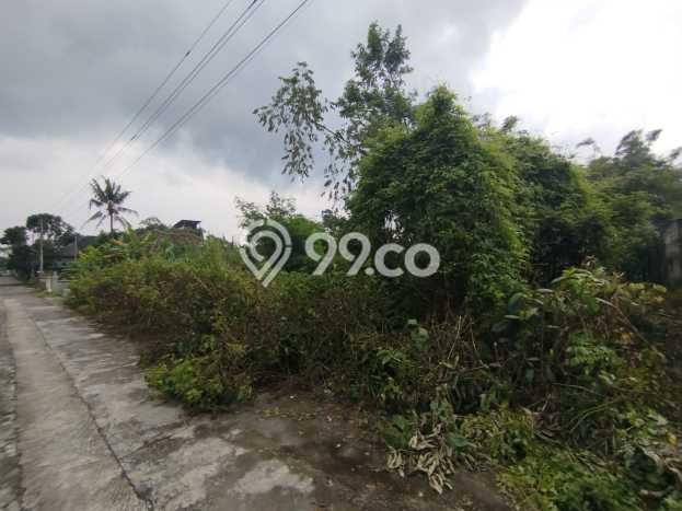 Tanah Kavling Dijual di Yogyakarta dengan Spesifikasi 1620m2 Tanah Kavling Dijual di Yogyakarta dengan Spesifikasi 1620m2